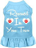 Custom Rescued In Pet Dress Baby Blue