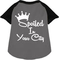Custom Spoiled In Pet Raglan Shirts Grey with Black