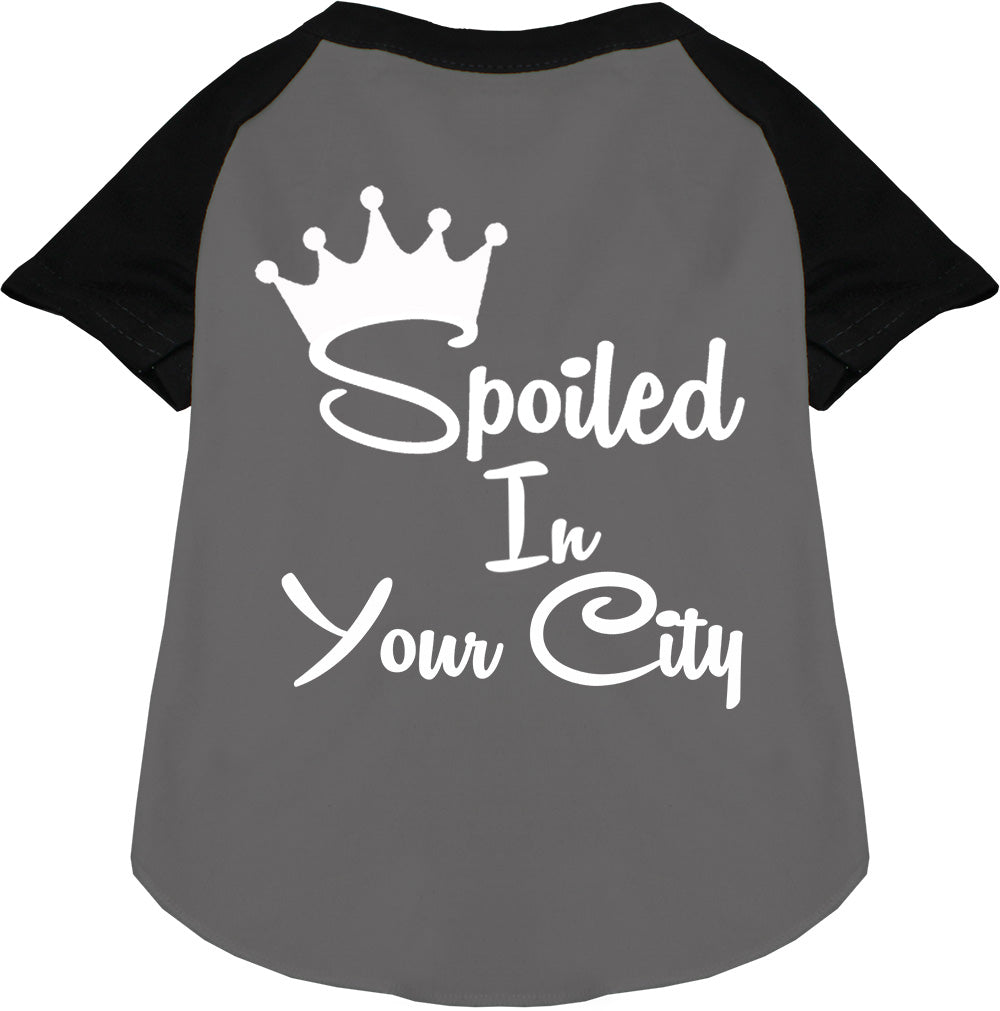 Custom Spoiled In Pet Raglan Shirts Grey with Black