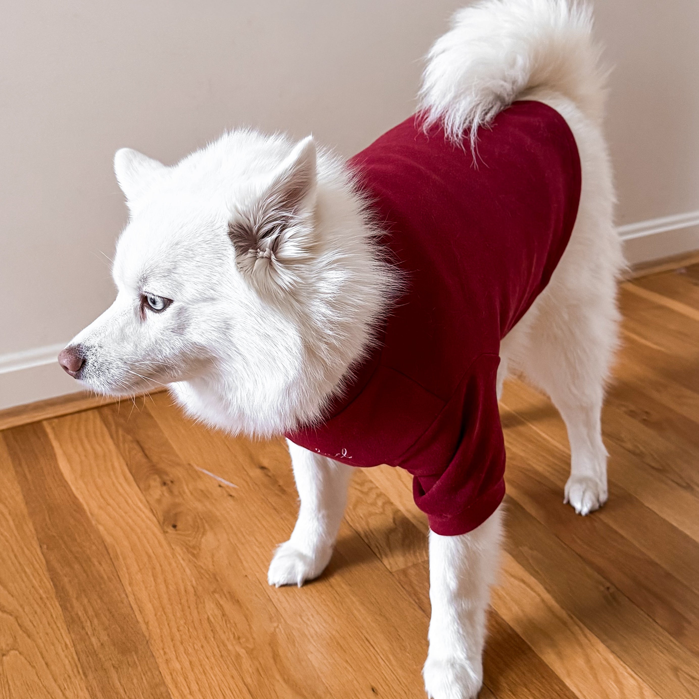 Fur Elise Spoiled Mock Neck Shirt — Lucky in Love