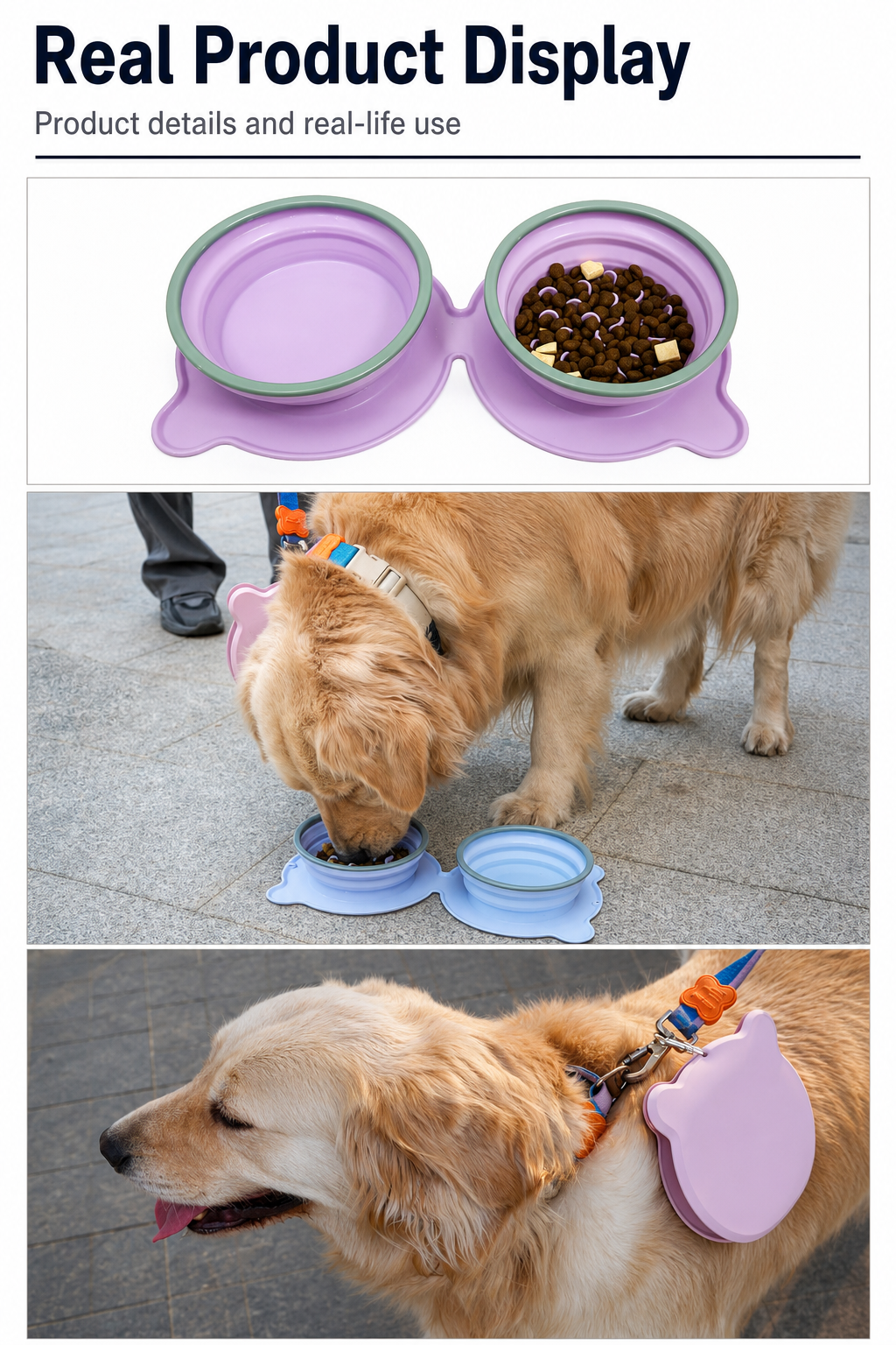Collapsible Travel Double Pet Bowl