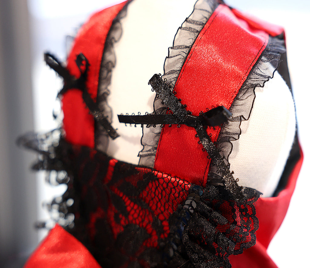 Red Black Gothic Lace Pet Dress