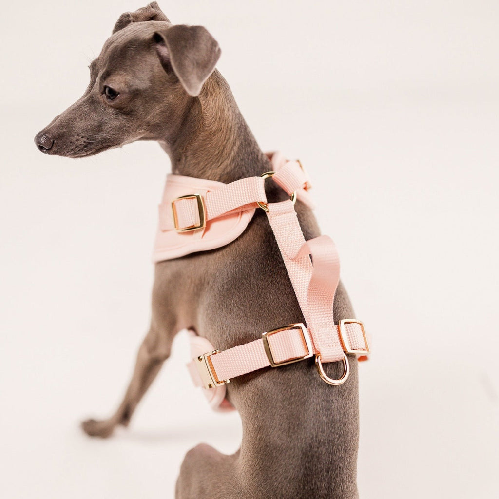 Fur Elise The Ultimate Walk Set - Rose