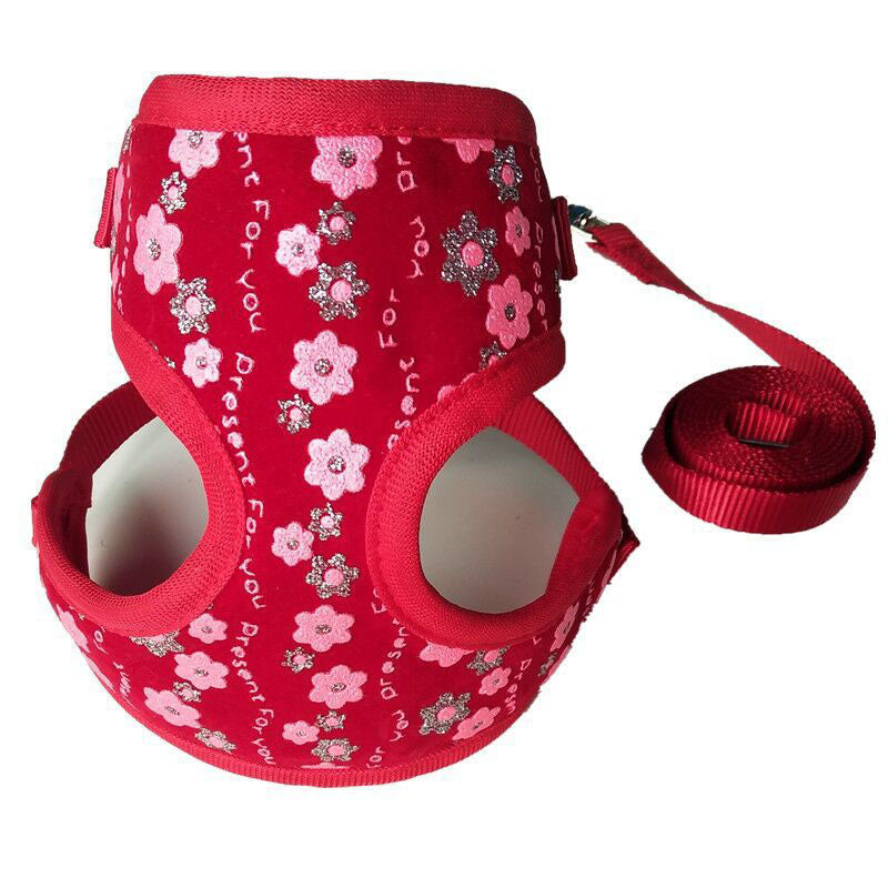 Small Dog & Cat Leash – Cute Floral Pattern | 4 Colors, S & L