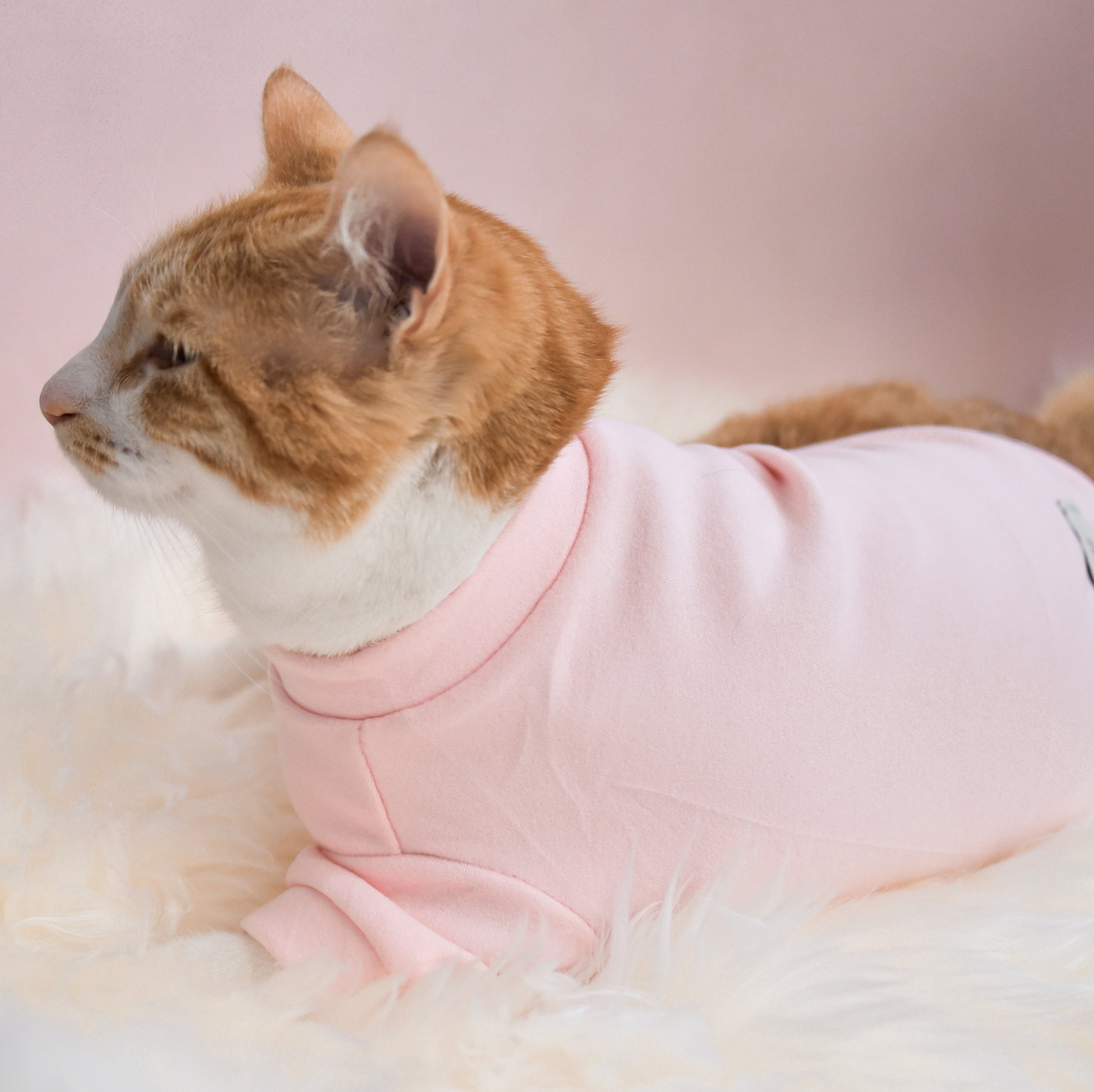 Fur Elise Spoiled Mock Neck Shirt — Cupid’s Blush
