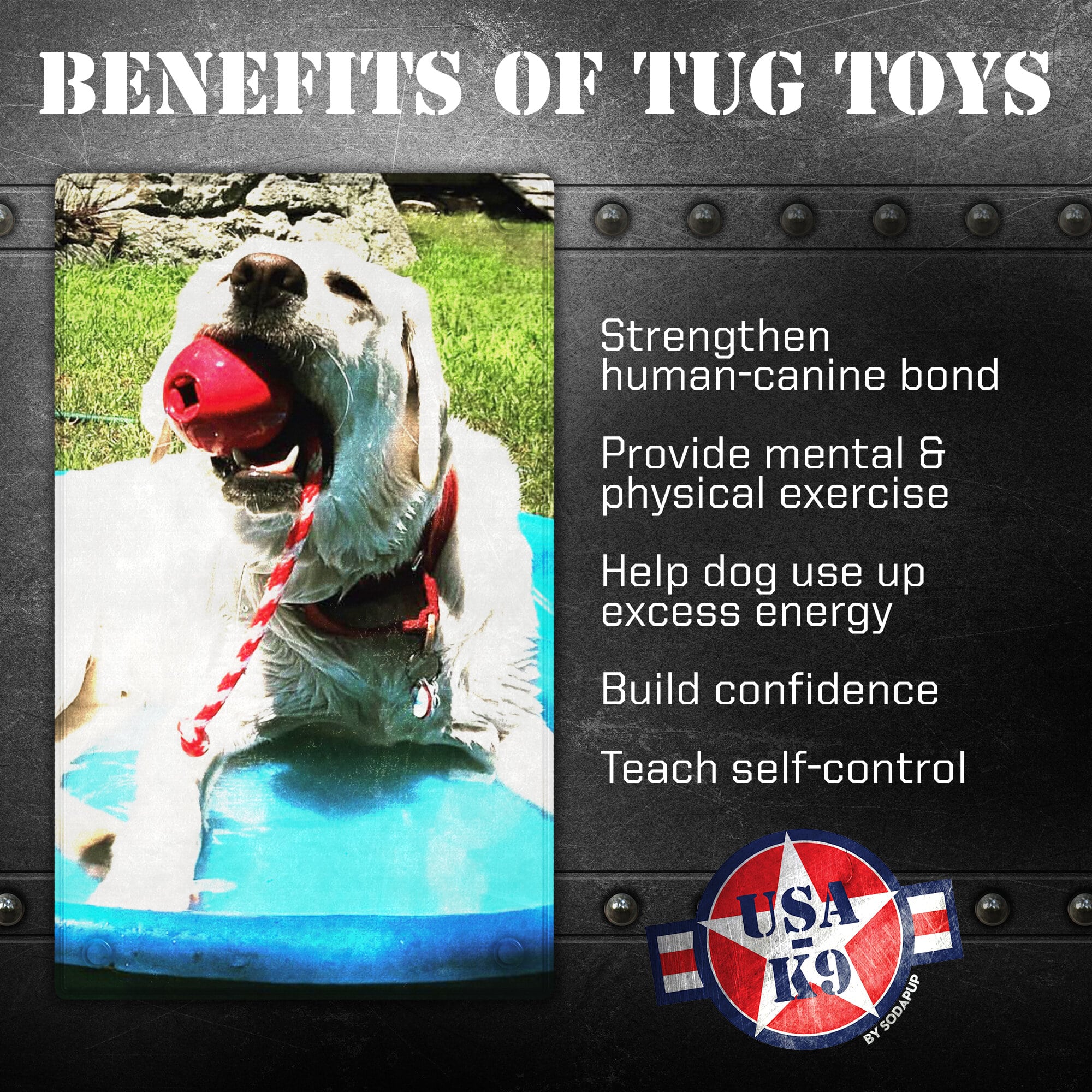 USA-K9 Cherry Bomb Rubber Dog Chew Toy – 4-in-1 K9 Reward & Treat Dispenser | USA Made