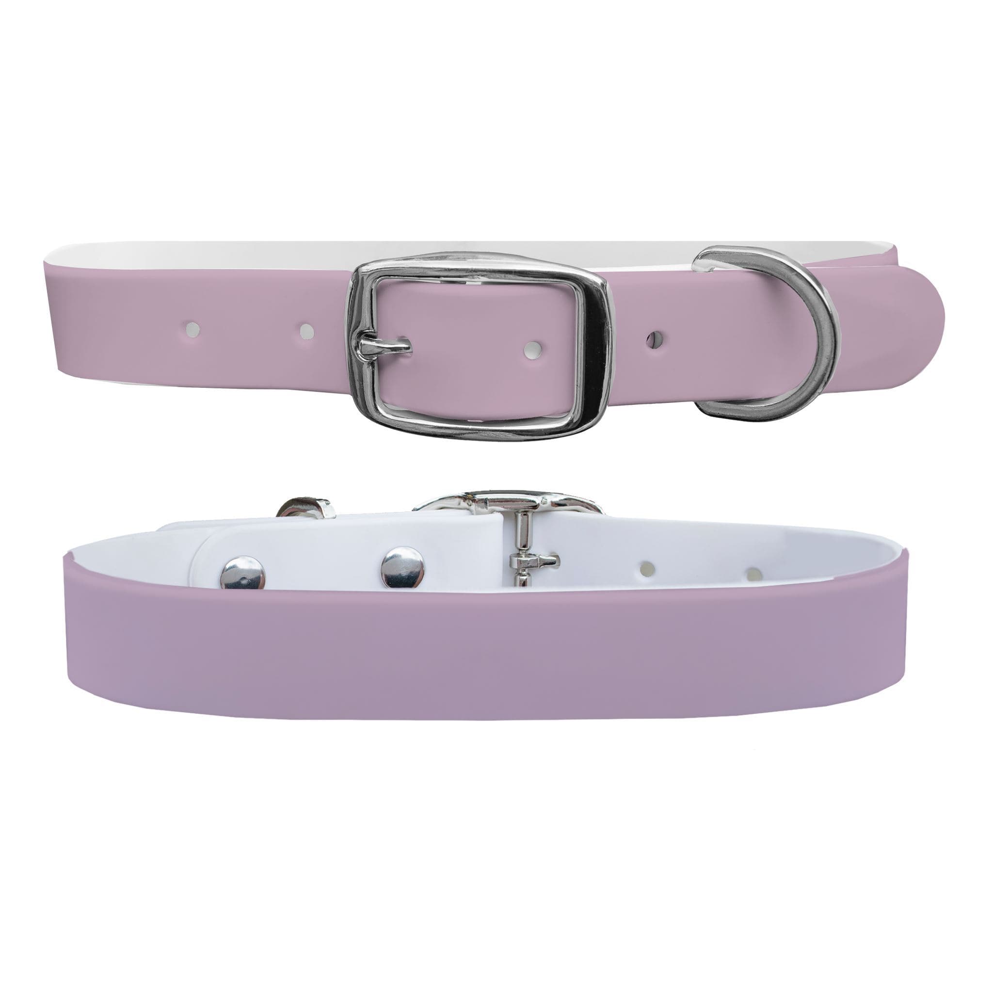 Lavender Dog Collar