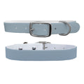 Sky Blue Dog Collar