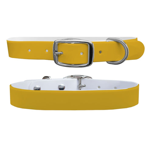 Canary Dog Collar