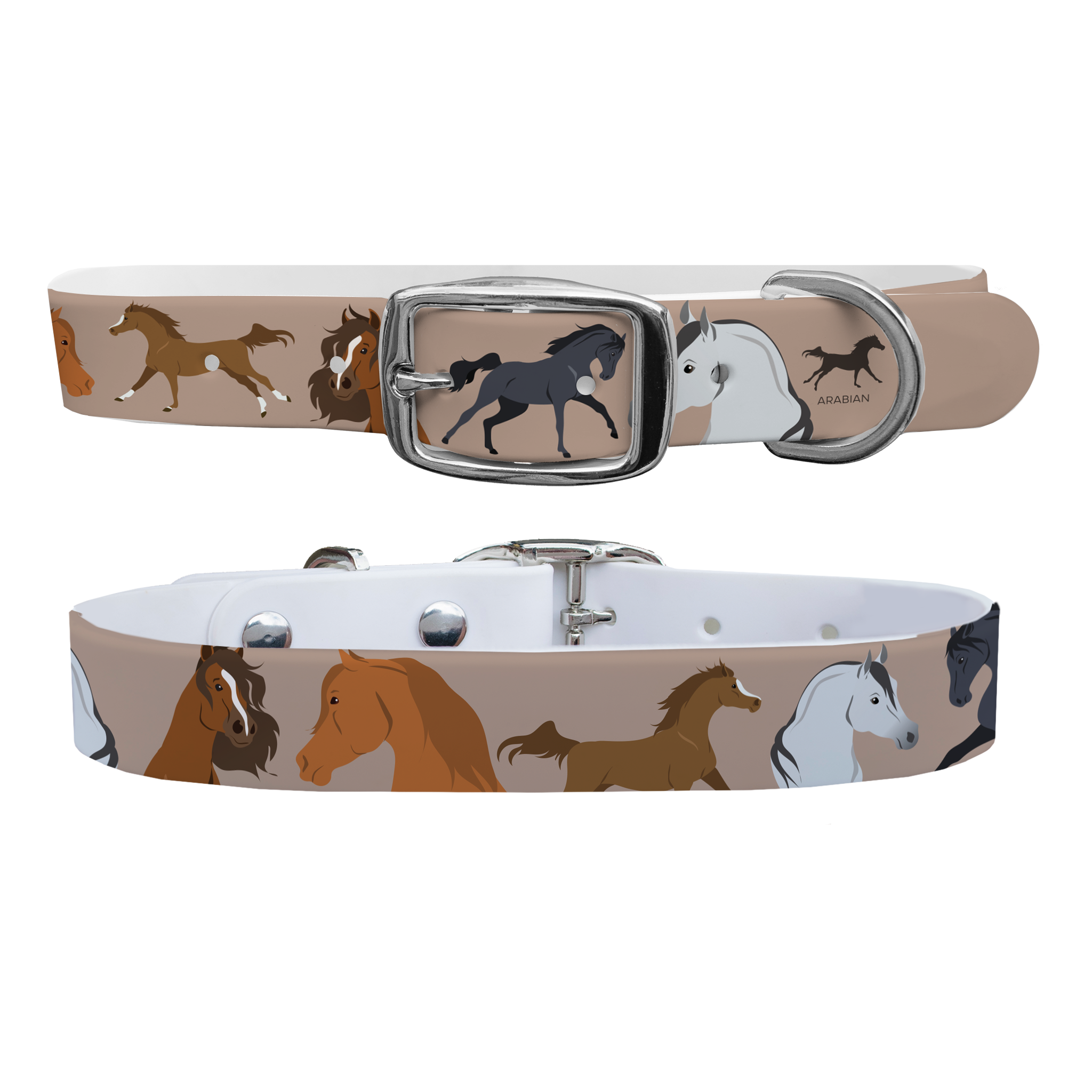 Arabian Dog Collar