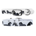 Friesian Dog Collar