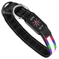 GBruno Light Up Dog Collar S