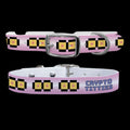 Crypto Titties - Pink Crypto Titties Logo Dog Collar