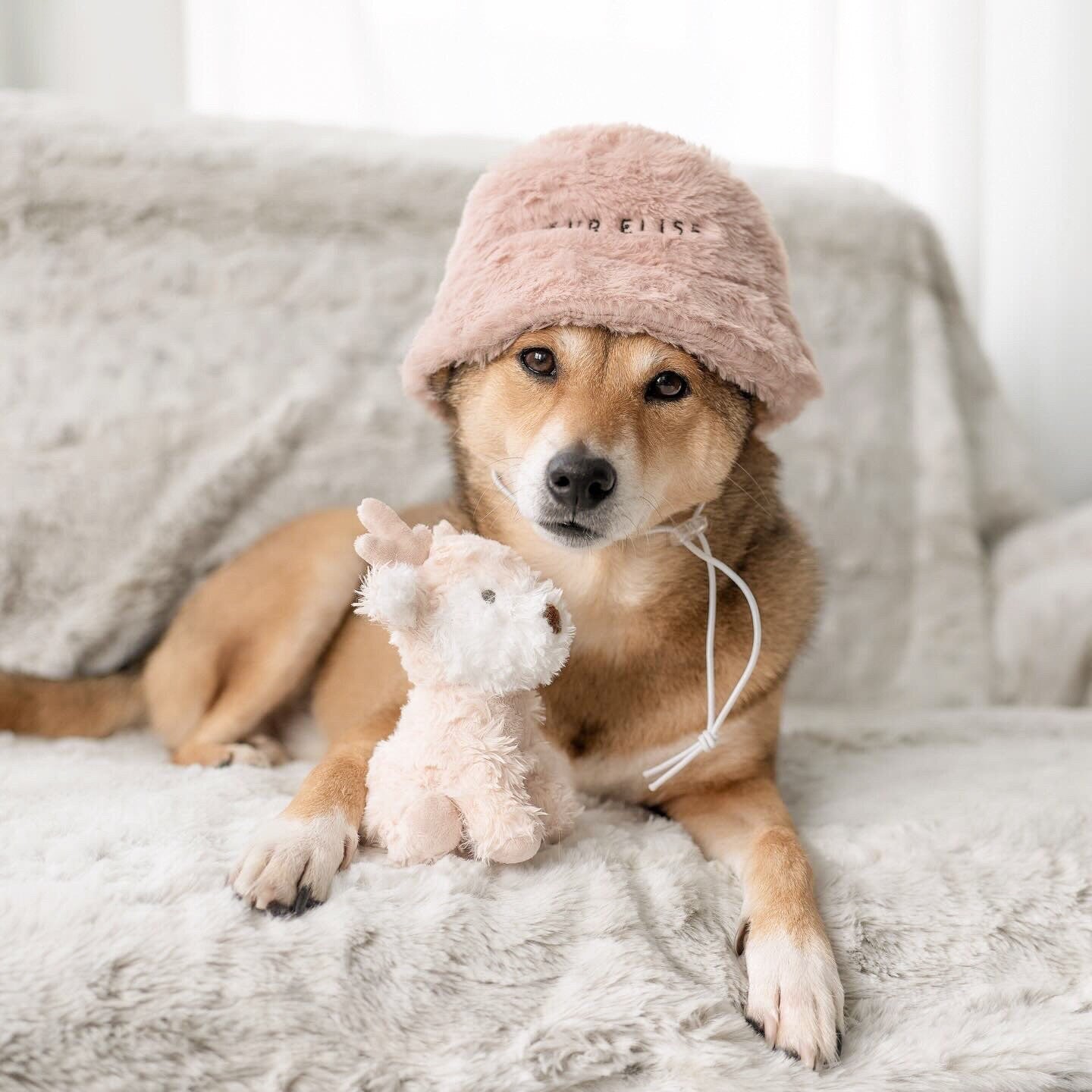 Fur Elise Furi Pet Hat - Sand