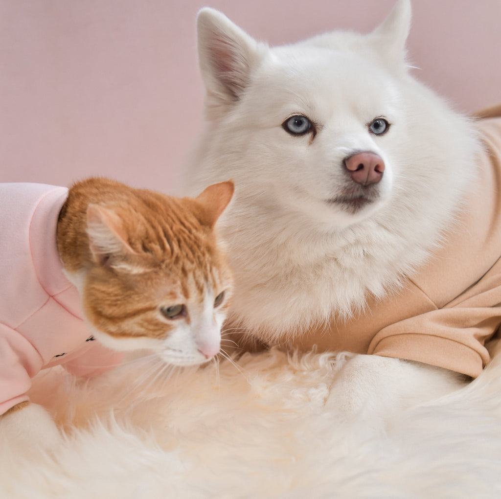 Fur Elise Spoiled Mock Neck Shirt — Cupid’s Blush
