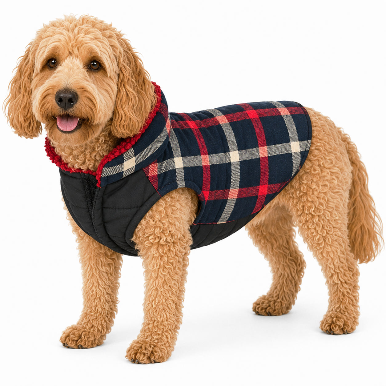 Pet Life ® 'Allegiance' Classical Insulated Plaid Fashion Dog Jacket Blue And Red Plaid