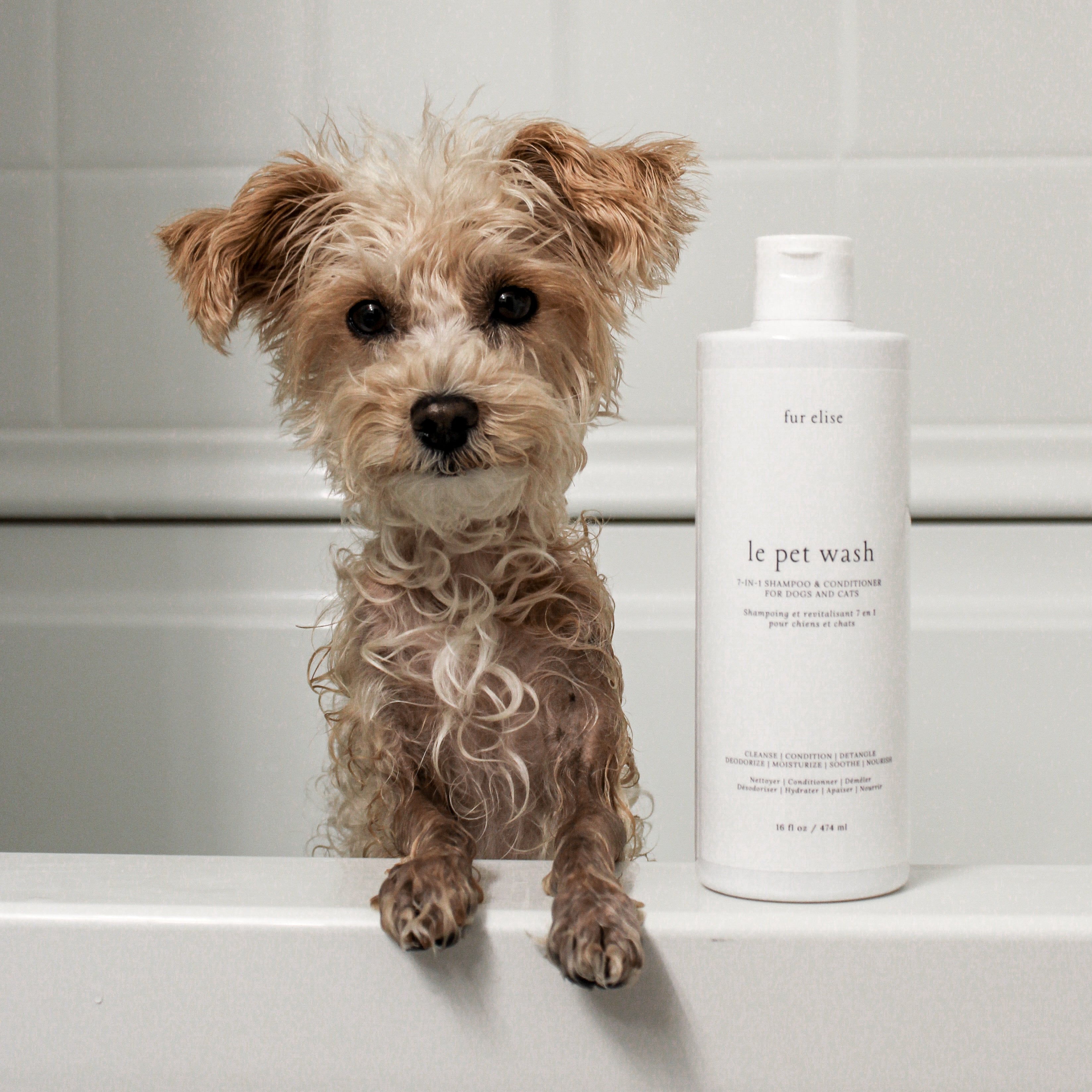 Fur Elise Le Pet Wash