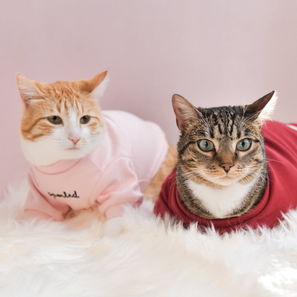 Fur Elise Spoiled Mock Neck Shirt — Lucky in Love