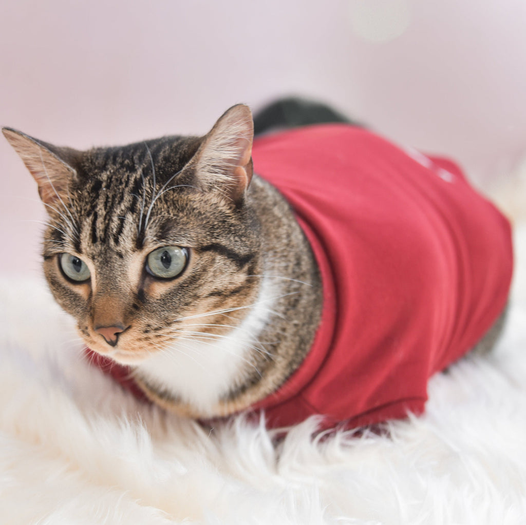 Fur Elise Spoiled Mock Neck Shirt — Lucky in Love