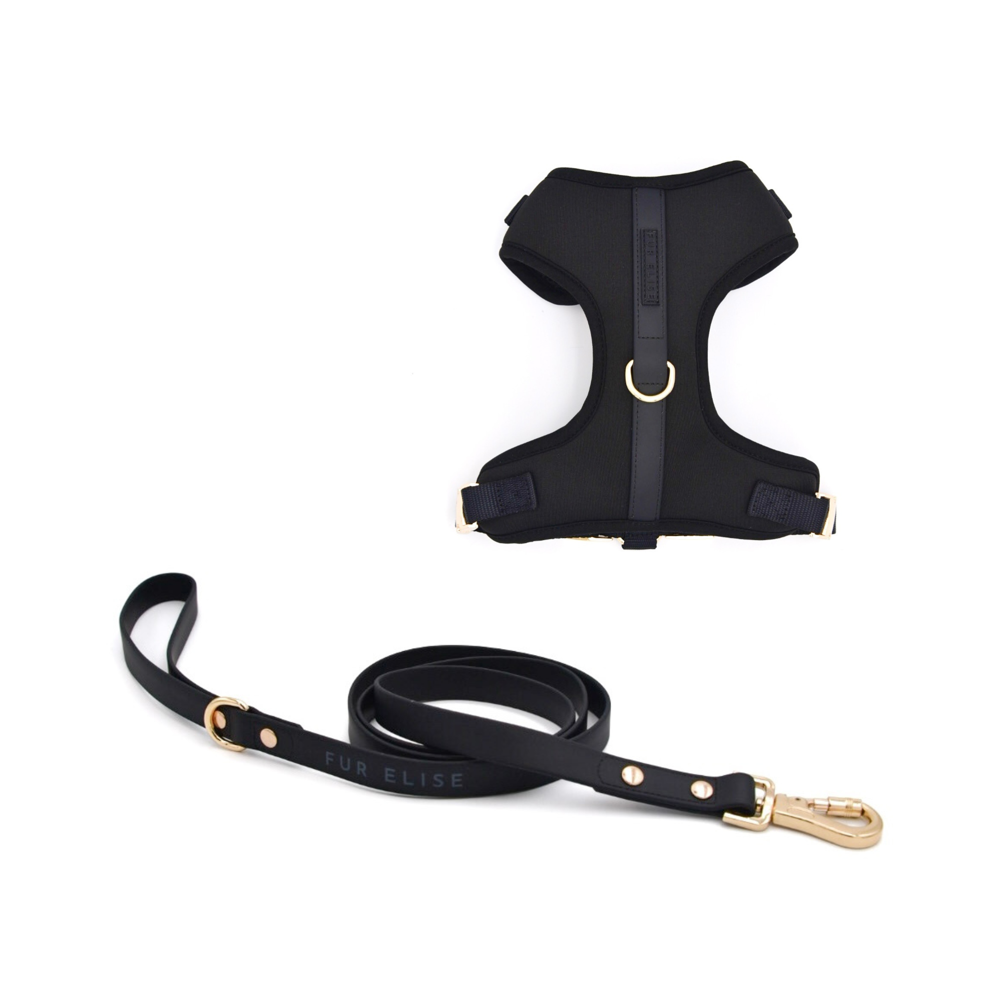 Fur Elise Harness & Leash Set - Noir
