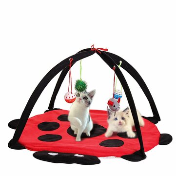 Black Ladybug Cat Play Mat Black Ladybug Cat Play Mat