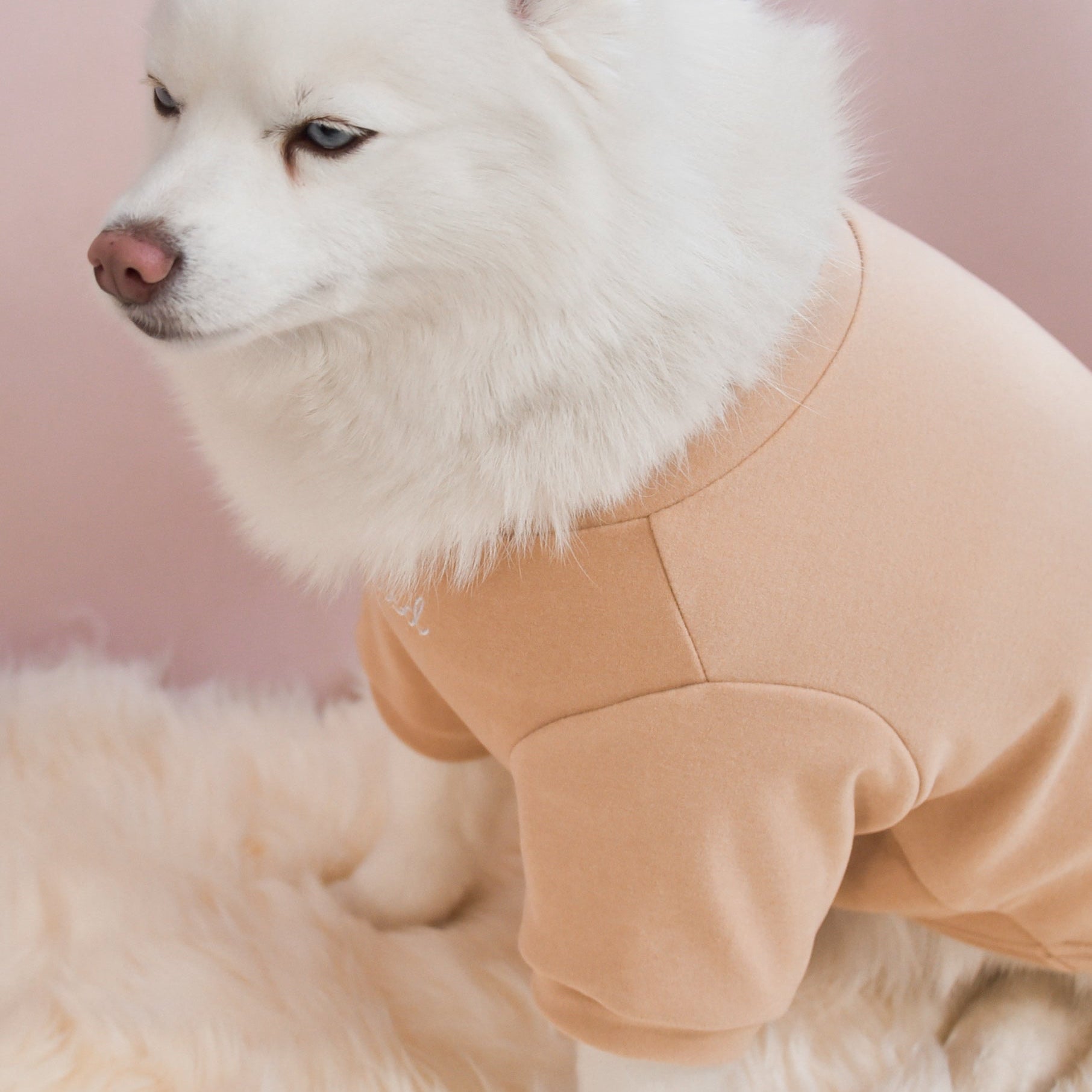 Fur Elise Spoiled Mock Neck Shirt — Miss U a Latte