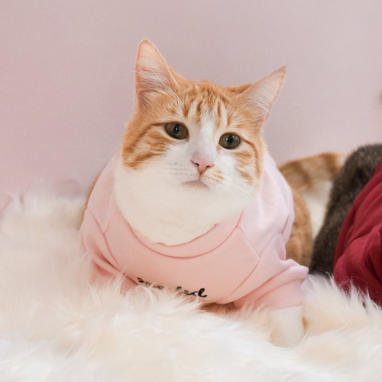 Fur Elise Spoiled Mock Neck Shirt — Cupid’s Blush