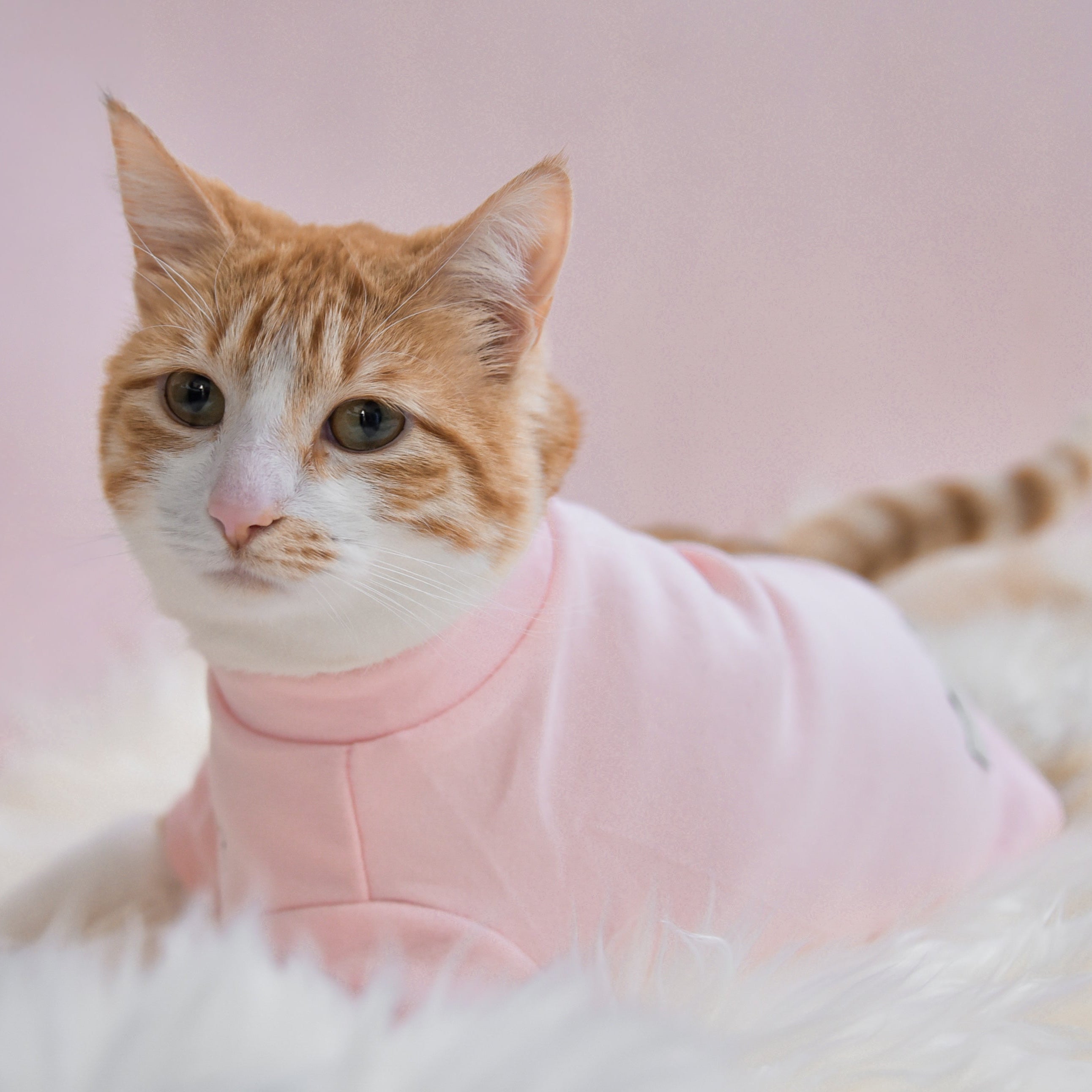 Fur Elise Spoiled Mock Neck Shirt — Cupid’s Blush