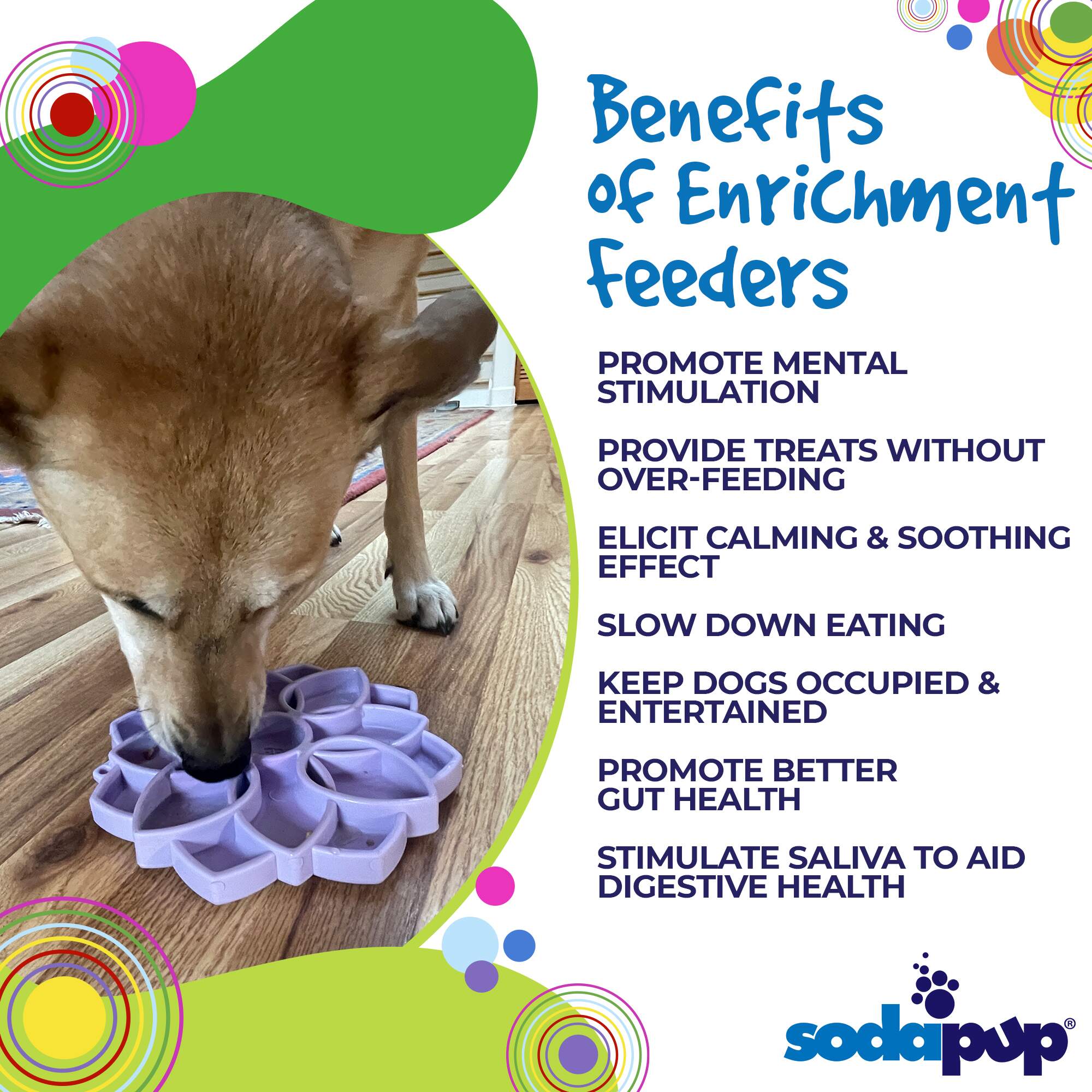 Mandala Softie eTray Shallow Slow Feeder Dog Bowl with Suction Cups | USA Made