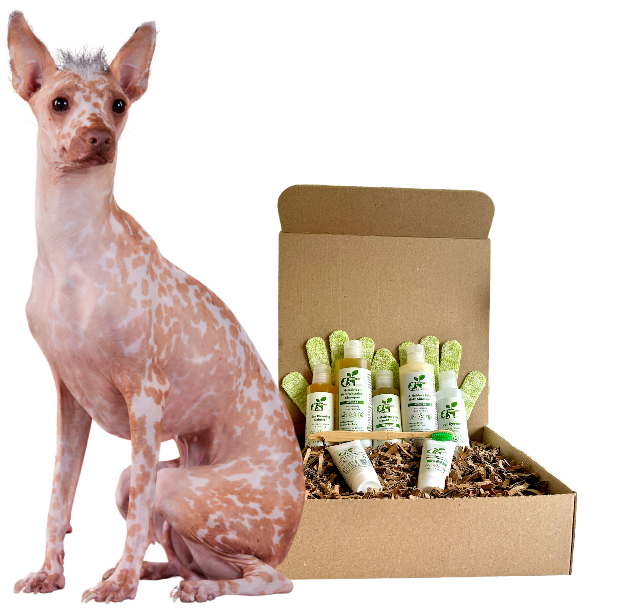 4-HAIRLESS PETS *DOG REGULAR KIT oz.)
