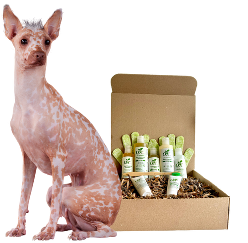4-HAIRLESS PETS *DOG REGULAR KIT oz.)