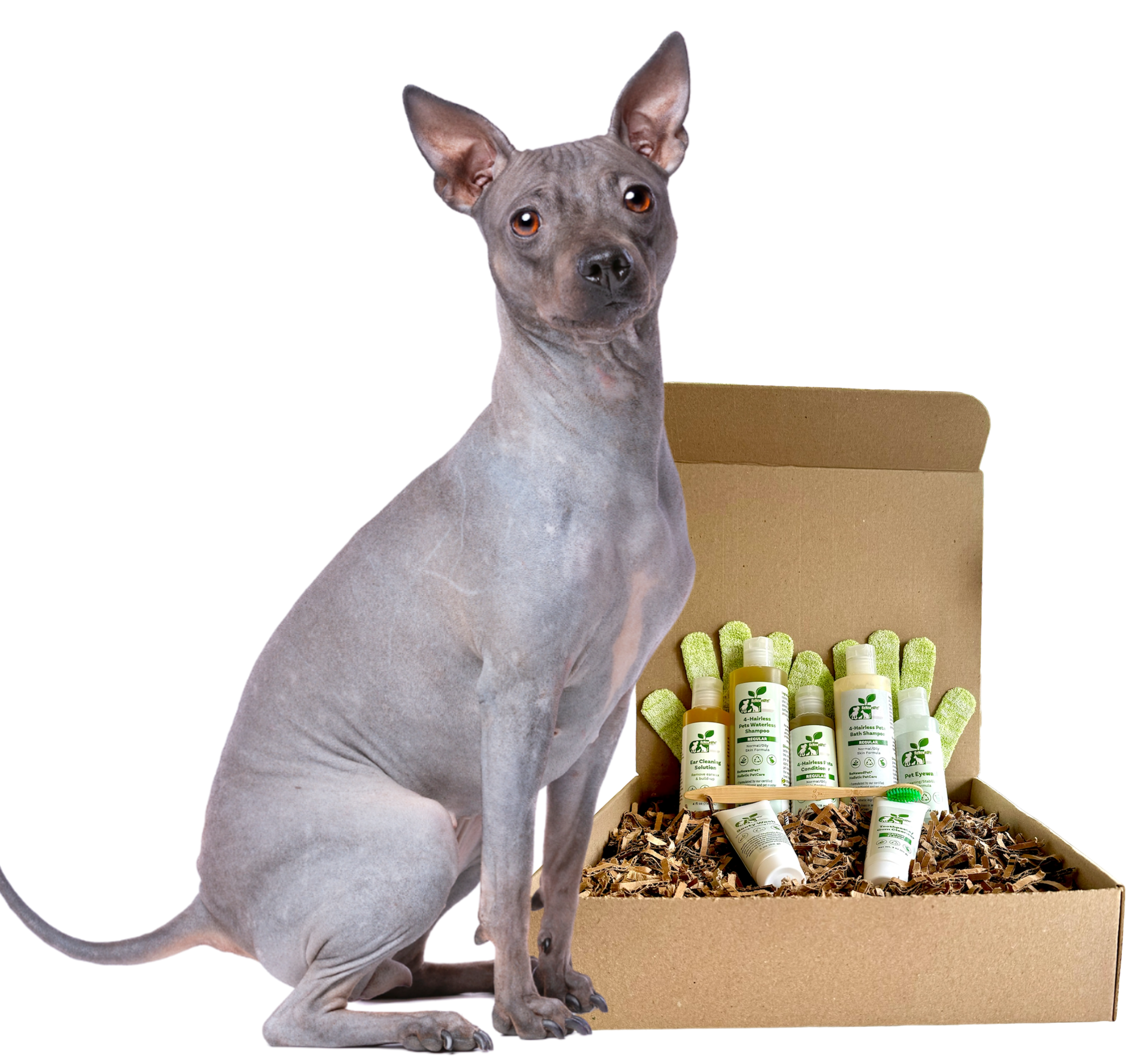 4-HAIRLESS PETS *DOG RESTORATIVE KIT oz.)