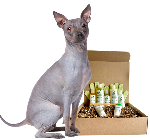 4-HAIRLESS PETS *DOG RESTORATIVE KIT oz.)