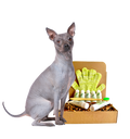4-HAIRLESS PETS *DOG RESTORATIVE KIT SAMPLE SIZE ($9.92 oz.)