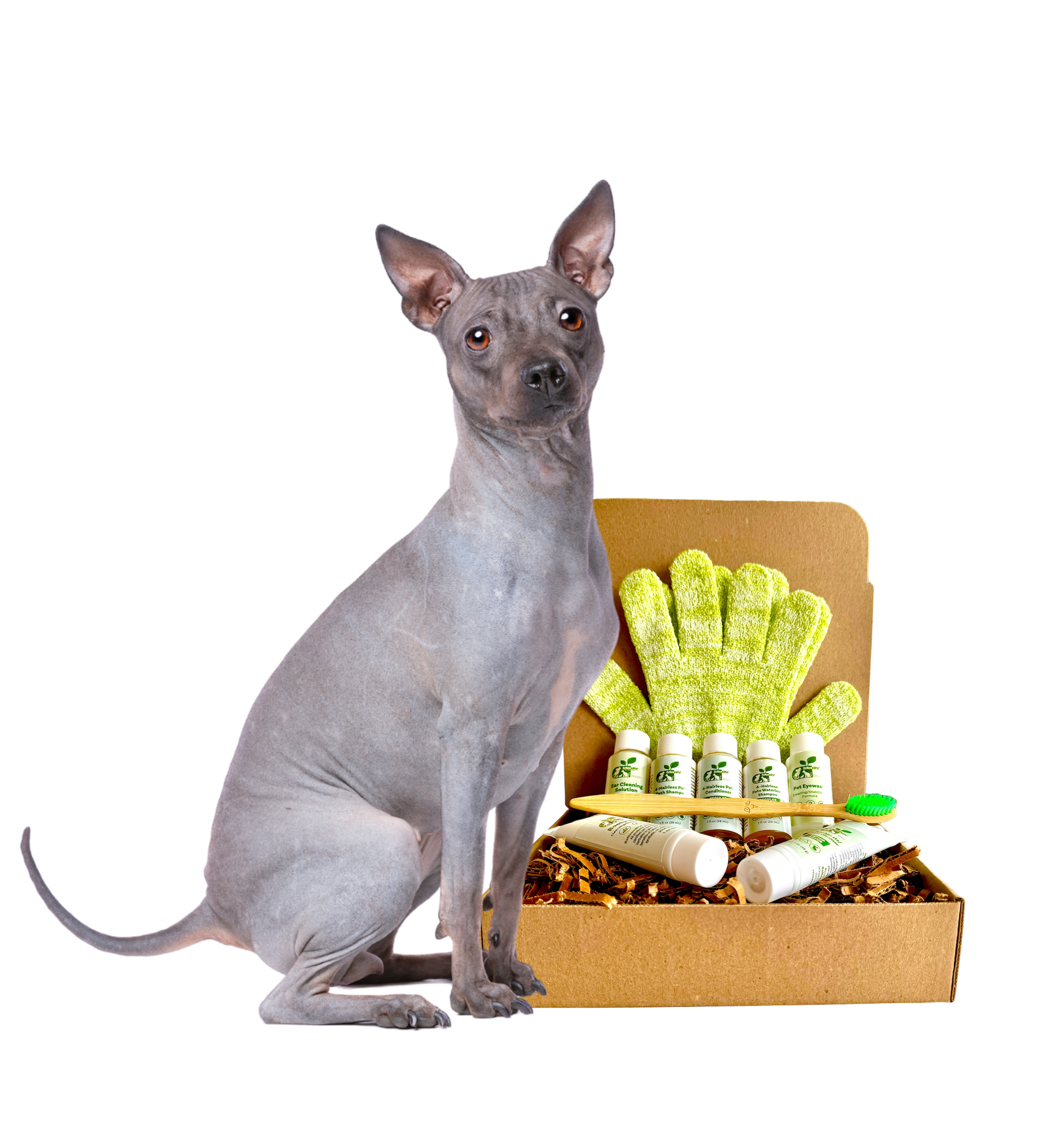 4-HAIRLESS PETS *DOG RESTORATIVE KIT SAMPLE SIZE ($9.92 oz.)