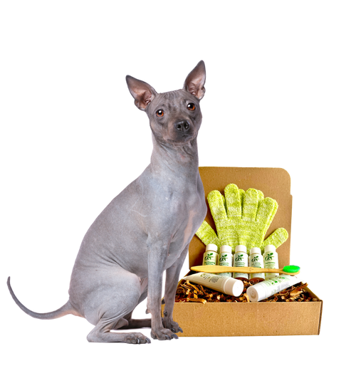 4-HAIRLESS PETS *DOG RESTORATIVE KIT SAMPLE SIZE ($9.92 oz.)