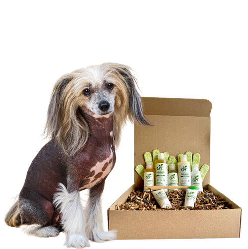 4-HAIRLESS PETS *DOG SENSITIVE KIT oz.)