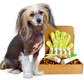 4-HAIRLESS PETS *DOG SENSITIVE KIT SAMPLE SIZE ($9.92 oz.)