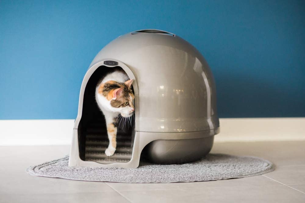 Dome Litter Pan for Cats Titanium