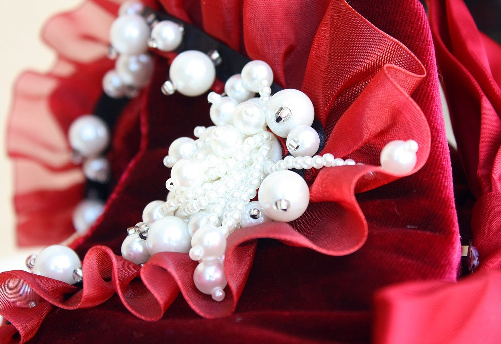Ruby Rosette Velvet Pet Dress
