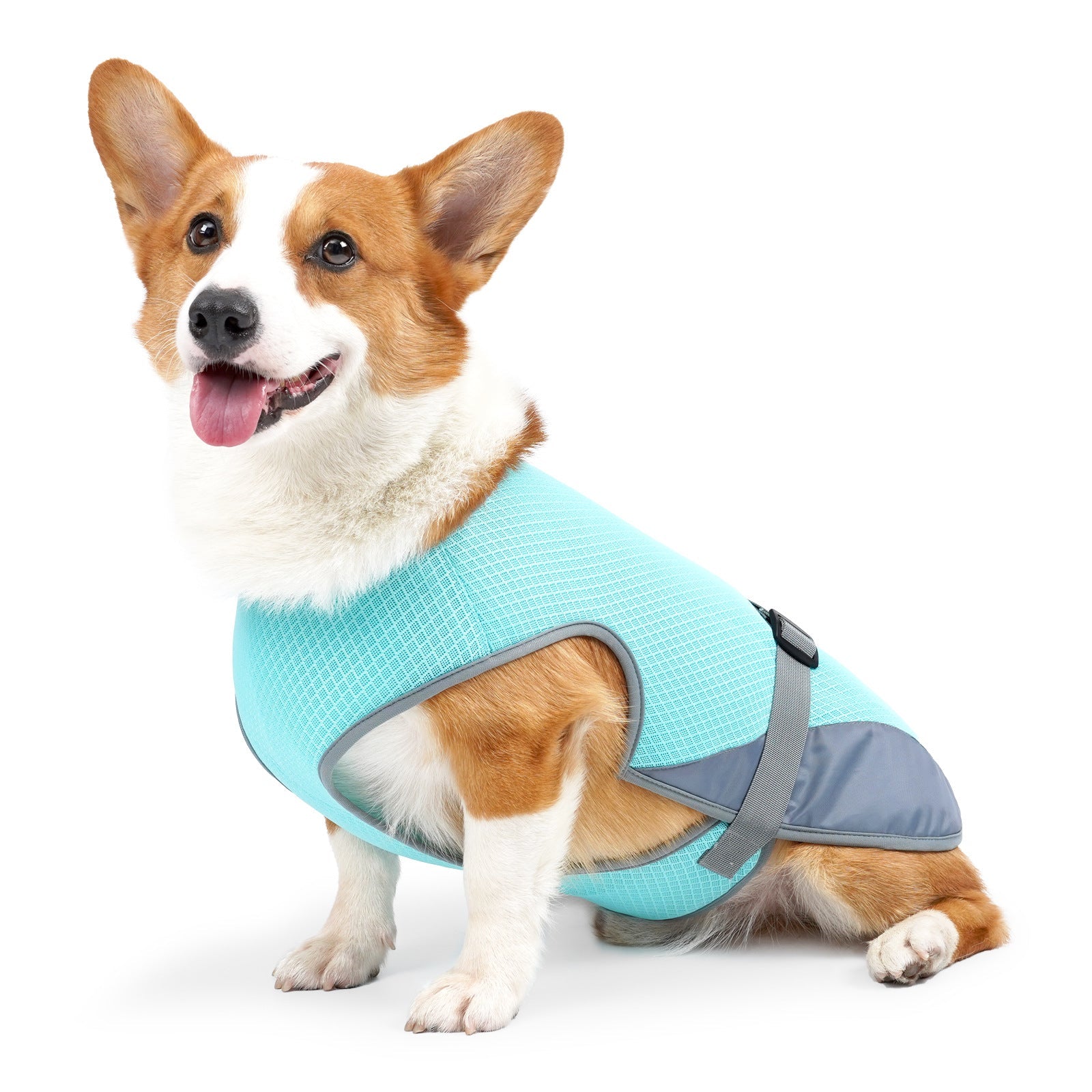 Pet Dog Clothing Cooling Summer Vest for Hot Heat Light Blue