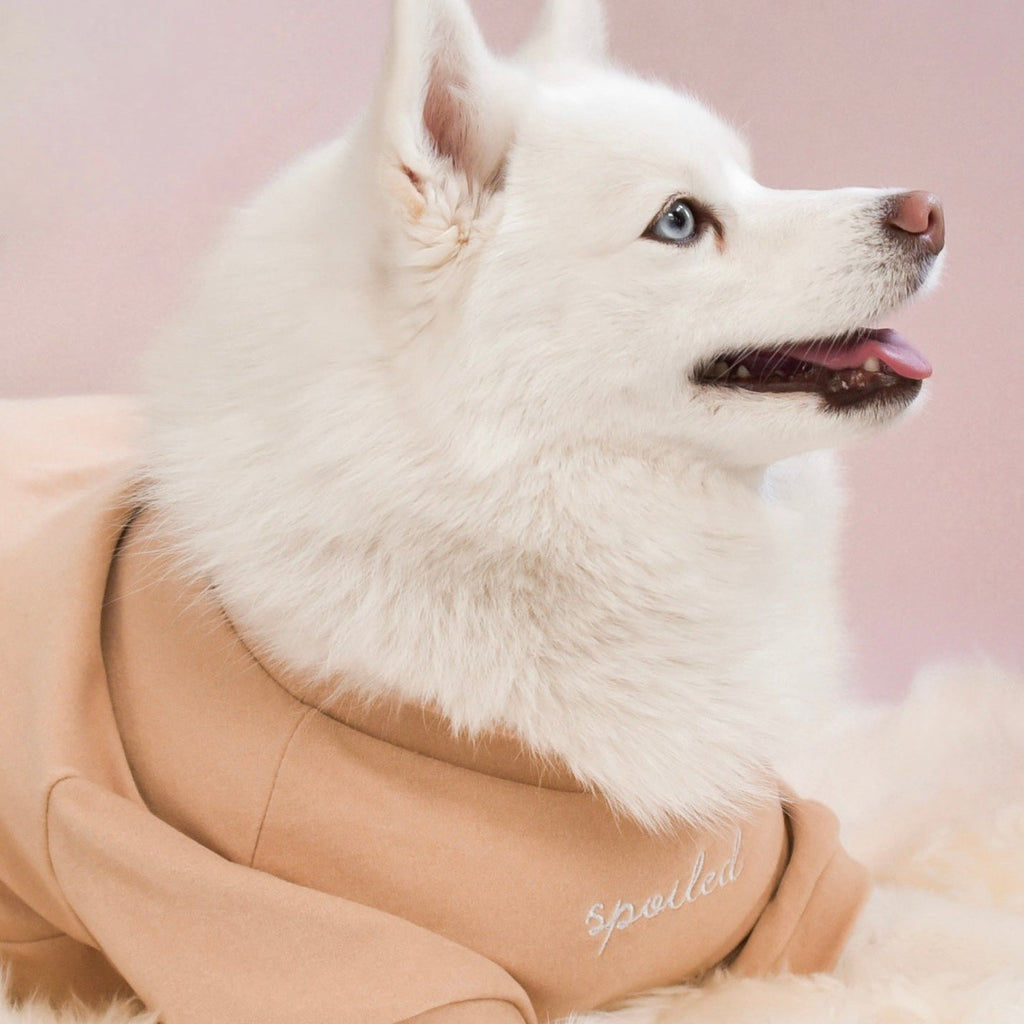 Fur Elise Spoiled Mock Neck Shirt — Miss U a Latte