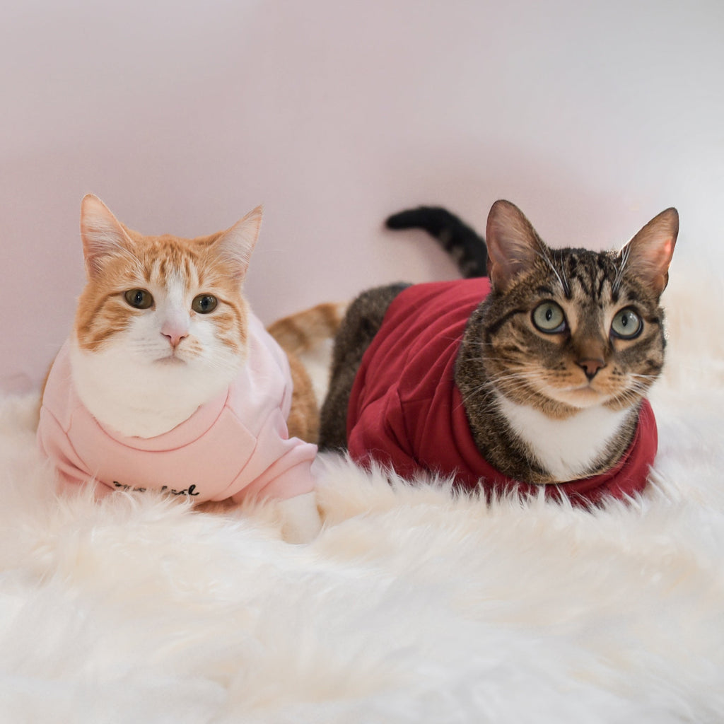 Fur Elise Spoiled Mock Neck Shirt — Lucky in Love