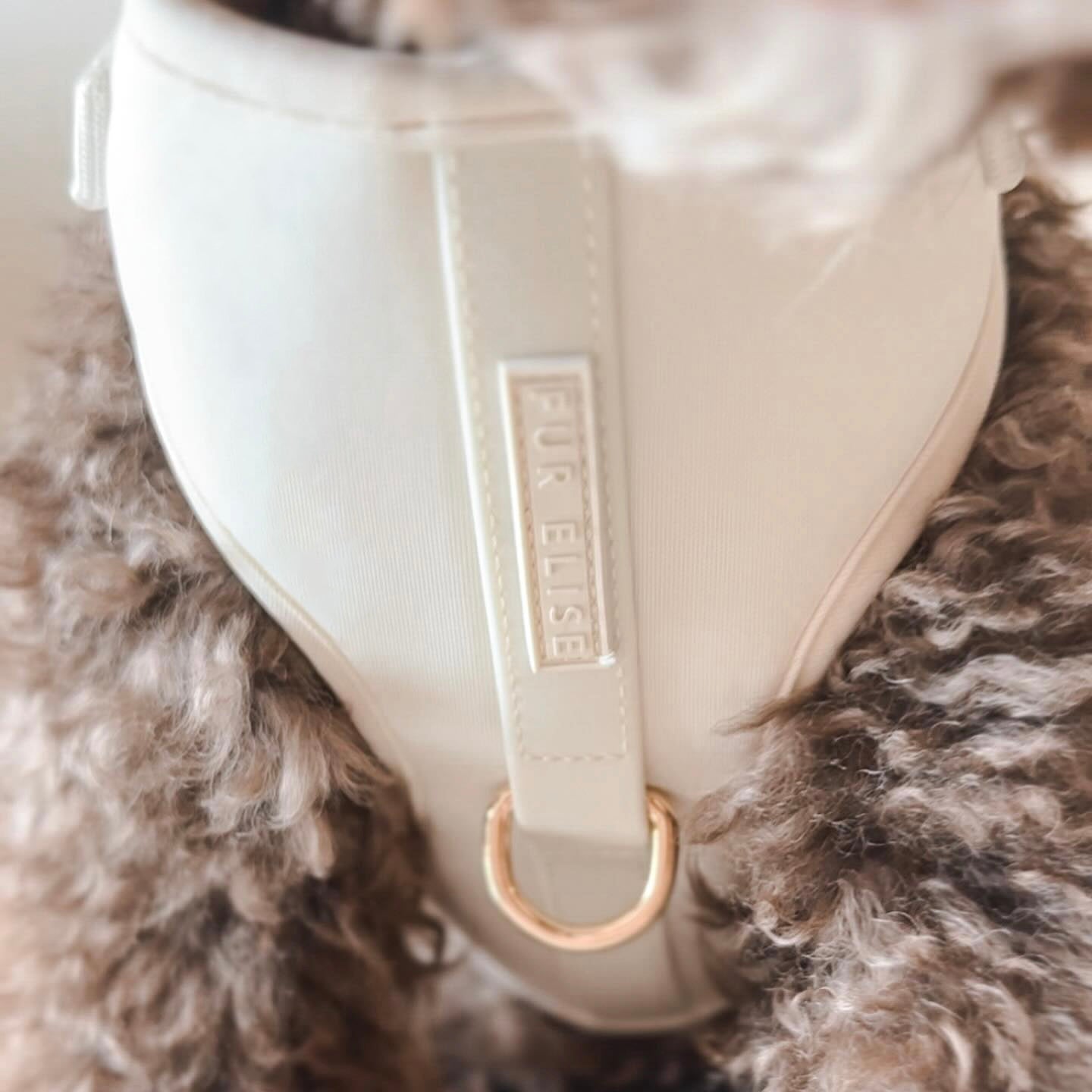 Fur Elise The Essentials Walk Set - Bone