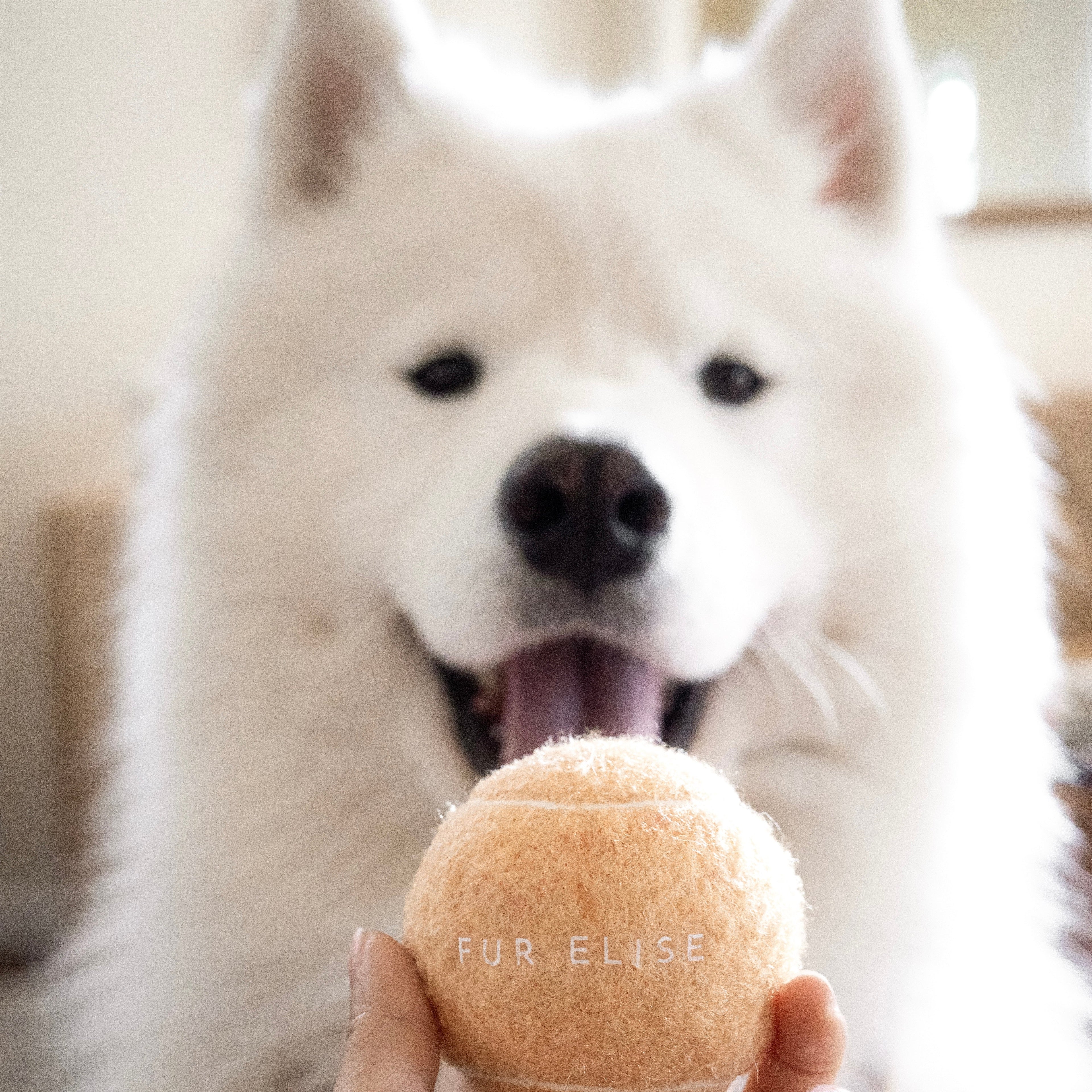 Fur Elise Classic Tennis Ball - Sand