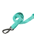 Padded Active Dog Leash – Mint Green | Breathable, Durable & Secure | M & L