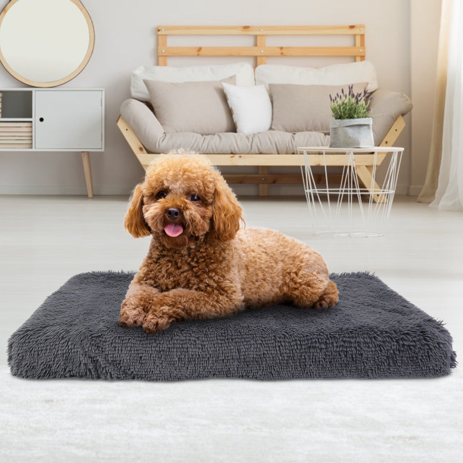 GBruno Dog Bed
