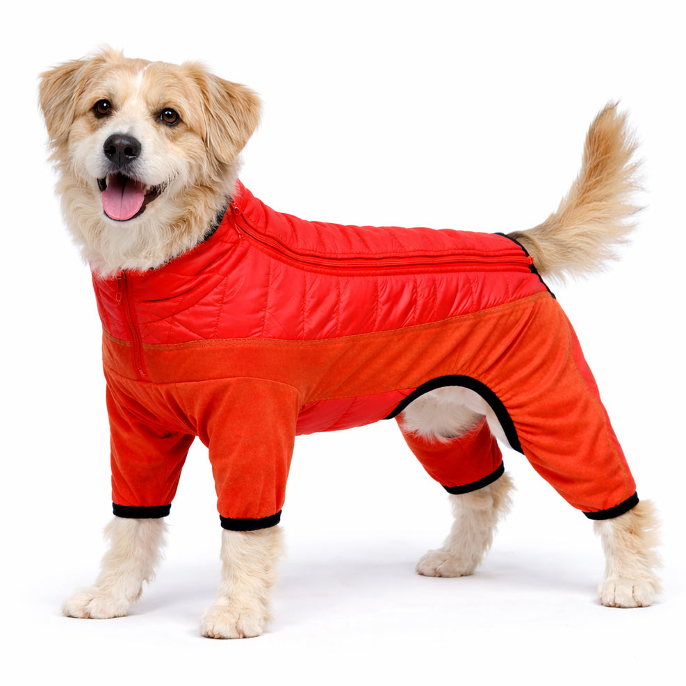 Pet Life ® 'Aura-Vent' Lightweight 4-Season Stretch and Quick-Dry Full Body Dog Jacket Red