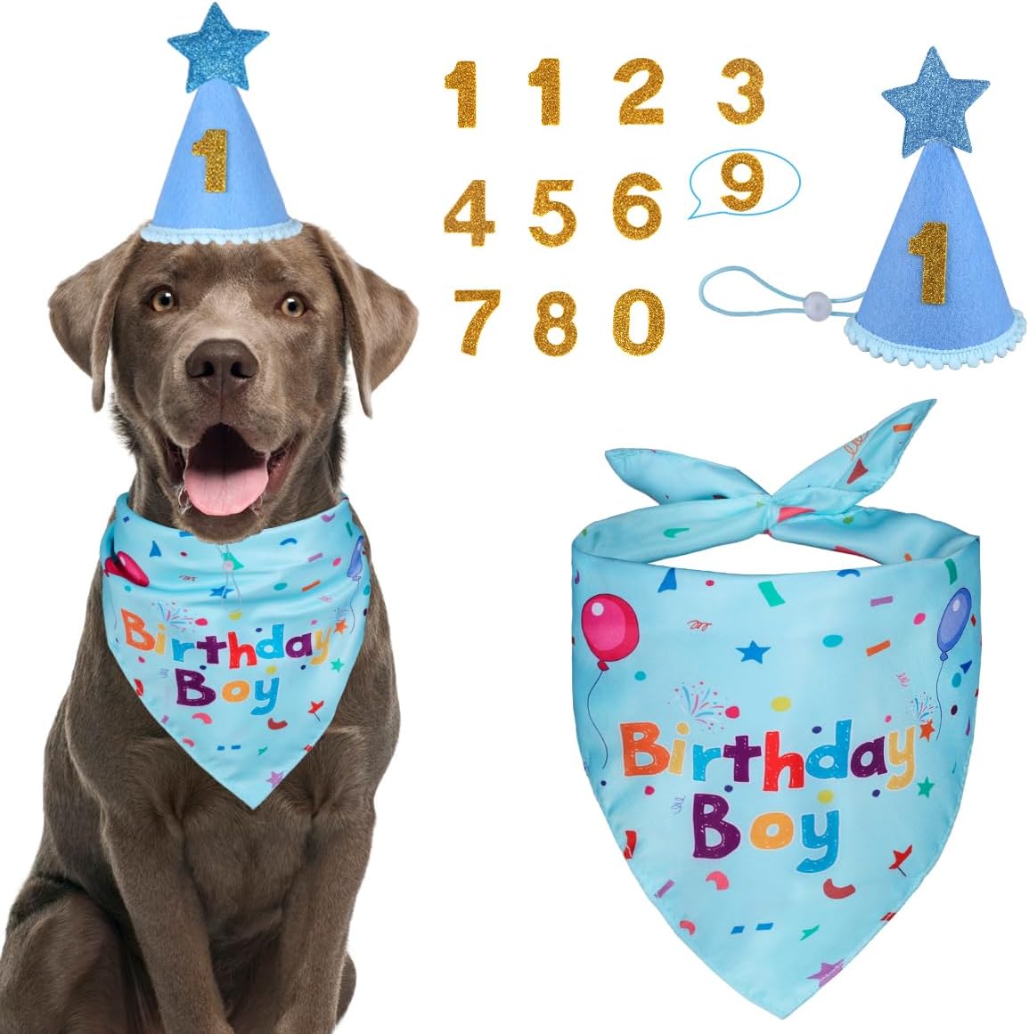 Dog Birthday Party Supplies – Premium Bandana & Hat Set for Dogs Blue Medium Large XL Large