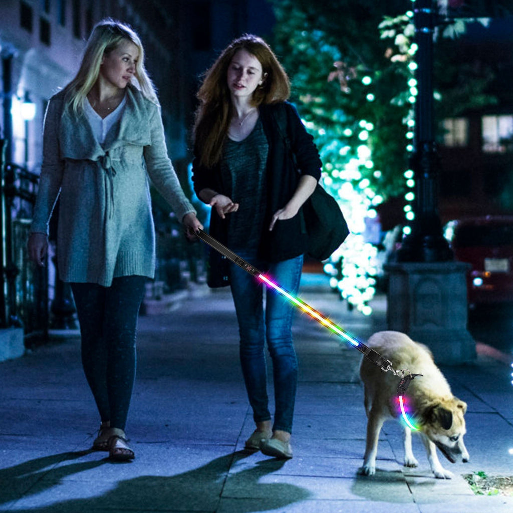 GBruno Light Up Dog Collar
